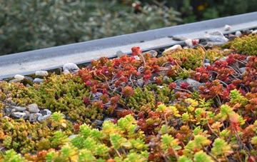 the cost of Ponjeravah green roof installation