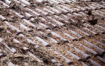 Ponjeravah roof cleaning companies