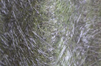 Ponjeravah fibreglass roof work